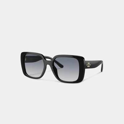 Coach Outlet Oversized Square Sunglasses In Black