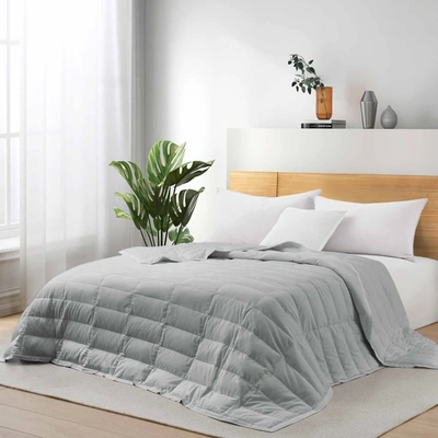 Puredown Tencel Lyocell Lightweight Cooling Down Bed Blanket Comforter, King Or Queen Size Quilt