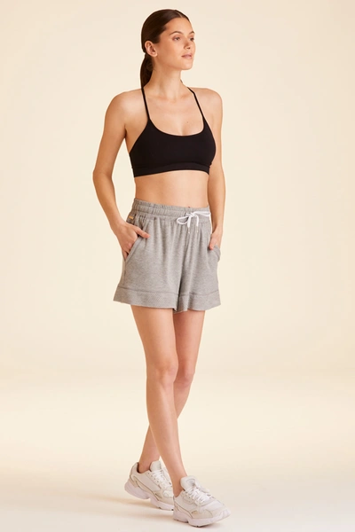 Alala Adult Women Heron Short In Grey