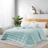 PUREDOWN TENCEL LYOCELL LIGHTWEIGHT COOLING DOWN BED BLANKET COMFORTER, KING OR QUEEN SIZE QUILT
