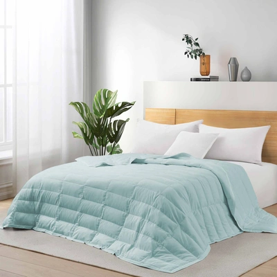 Puredown Tencel Lyocell Lightweight Cooling Down Bed Blanket Comforter, King Or Queen Size Quilt