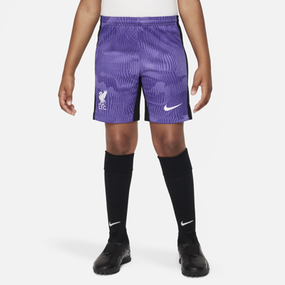 Nike Liverpool Fc 2023/24 Stadium Third Big Kids'  Dri-fit Soccer Shorts In Purple