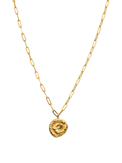 Eva Remenyi Nautilus Pendant Necklace In Gold