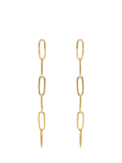 Eva Remenyi Nautilus Chain Earrings In Gold