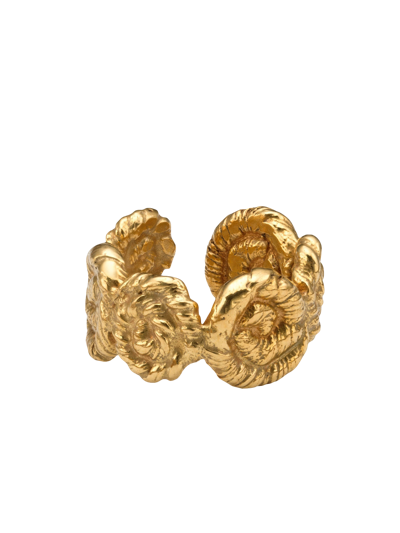 Eva Remenyi Nautilus Chunky Ring In Gold