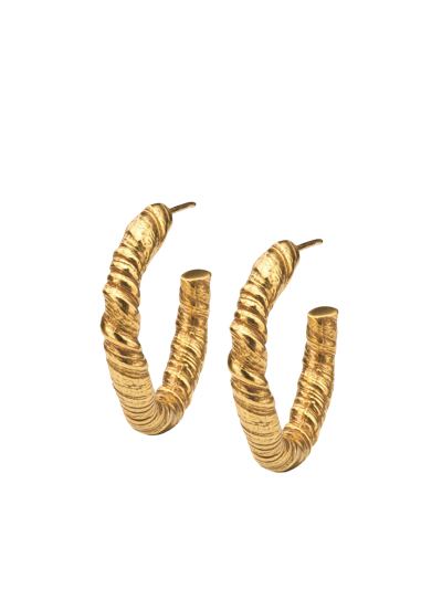 Eva Remenyi Nautilus Hoop Earrings In Gold