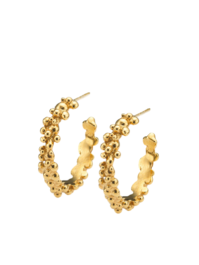 Eva Remenyi Céleste Deux Hoop Earrings Gold