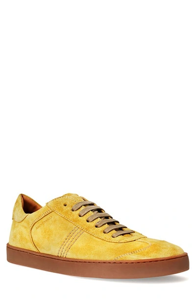 Bruno Magli Men's Bono Suede Low-top Trainers In Mimosa Suede