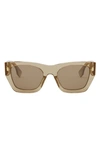 Fendi Roma Acetate Cat-eye Sunglasses In Shiny Black/smoke