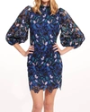 Eva Franco Ava Dress In Bellrose In Multi