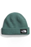 The North Face Salty Dog Beanie In Dark Sage