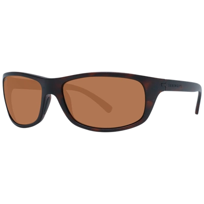 Serengeti Brown Unisex  Sunglasses