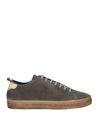 Wally Walker Sneakers In Grey