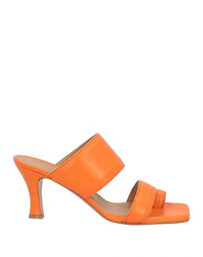 Claire Woman Toe Strap Sandals Orange Size 7 Soft Leather