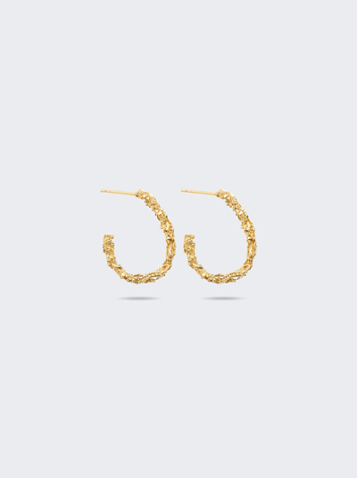 Veneda Carter Medium Open Hoop Earrings In Gold