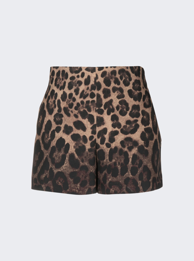 Valentino High Waisted Shorts In Leopard Print