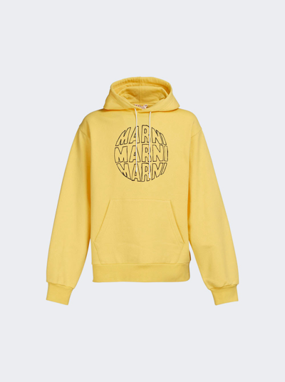 Marni Yellow Hooded Sweatshirt In Maize Yellow