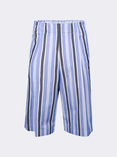 Dries Van Noten Blue Striped Shorts In Light Blue
