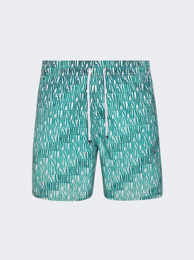 Amiri X The Webster Palm Springs Swim Trunks In Green