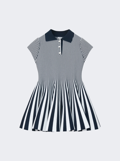 Loewe Striped Mini Polo Dress In Navy