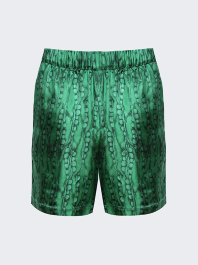 Givenchy Formal Elastic Shorts In Green