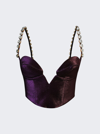 Area Mussel Cup Bustier Top In Purple