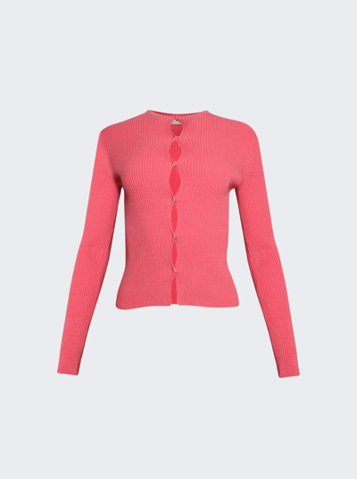 Fendi Cardigan In Rose