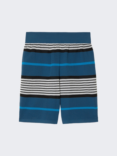 Burberry Stripe Print Nylon Shorts In Rich Navy