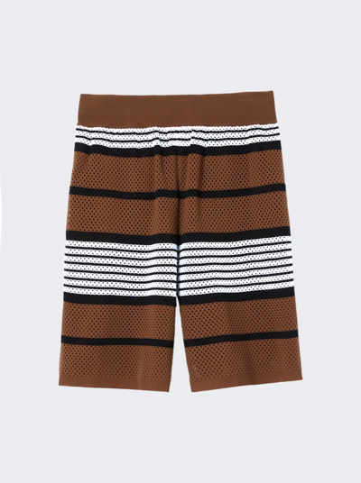 Burberry Knit Shorts In Dark Birch Brown