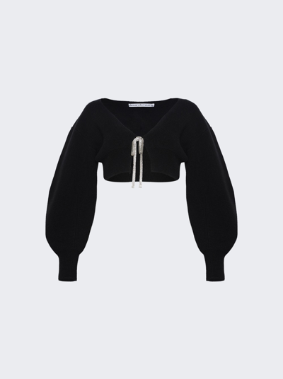 Alexander Wang V-neck Cropped Cardigan With Crystal Tie In Black