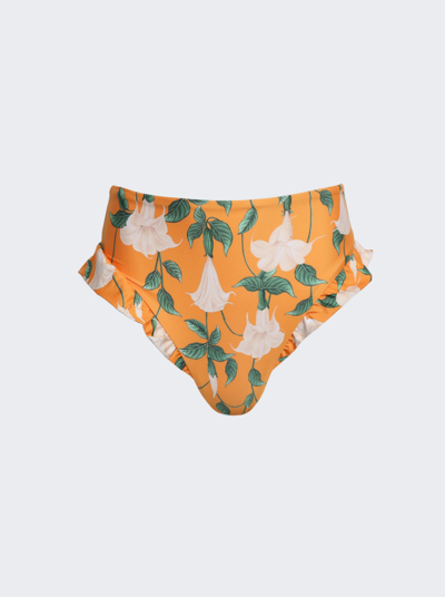 Agua By Agua Bendita Jengibre High-rise Recycled-fibre Bikini Briefs In Orange