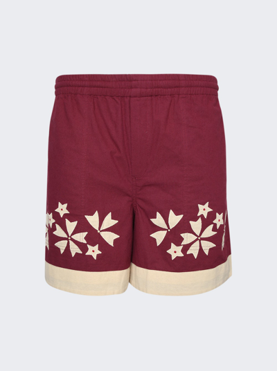 Bode Moonflower Appliqué Cotton Shorts In Maroon And Cream