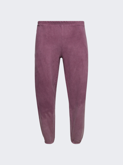 Notsonormal Gym Sweatpant In Root Brown