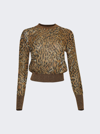 Paco Rabanne Leopard Print Pullover In Brown