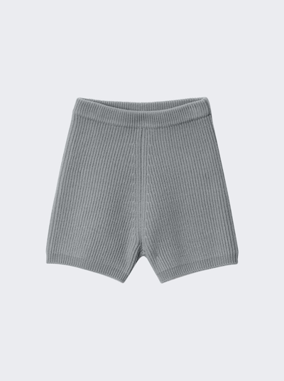 Alexander Wang T Bike Shorts In Grey Evening Haze