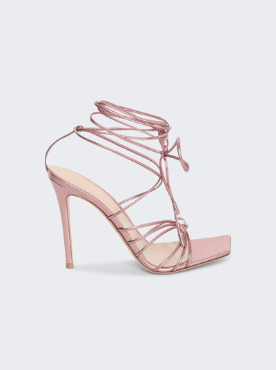 Gianvito Rossi Lace Up Sandal In Camellia Pink