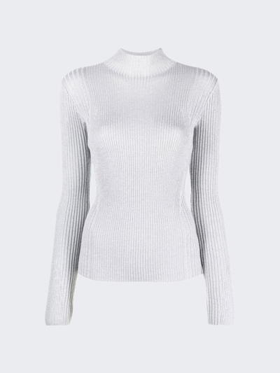 Dion Lee Light Reflective Rib Skivvy Sweater In Grey