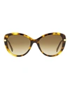 Omega Cat Eye Om0032 Sunglasses Woman Sunglasses Brown Size 56 Acetate