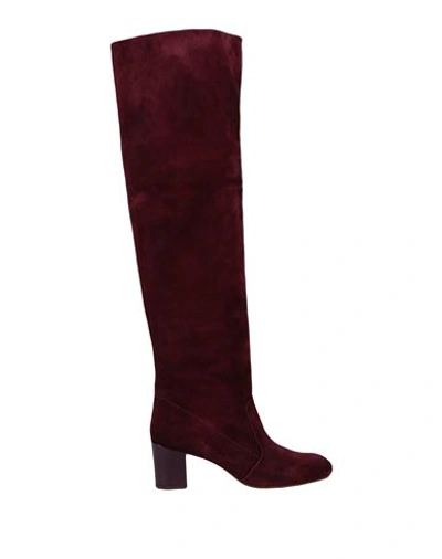 Chie Mihara Knee Boots In Red