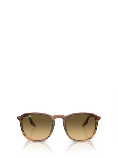 Ray Ban Ray In Multi