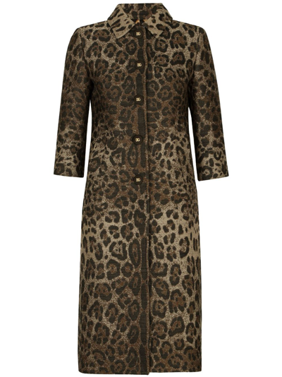 Dolce & Gabbana Leopard-print Single-breasted Coat In Brown