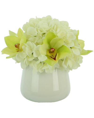 Creative Displays Green Orchid And White Hydrangea Arrangement
