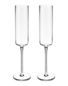 Viski Laurel Champagne Flutes