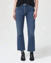 Agolde 90's Pinched Waist High In Blue