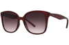 Ferragamo Salvatore  Sf1072s 630 56 In Brown