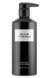D.s. & Durga Big Sur After Rain Hand Soap 13.5 Oz.