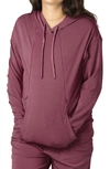 Kindred Bravely Relaxed Fit Nursing Hoodie In Fig