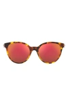 Versace Phantos 46mm Small Round Sunglasses In Havana / Dark Violet Red