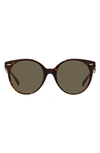 Versace 55mm Round Sunglasses In Havana