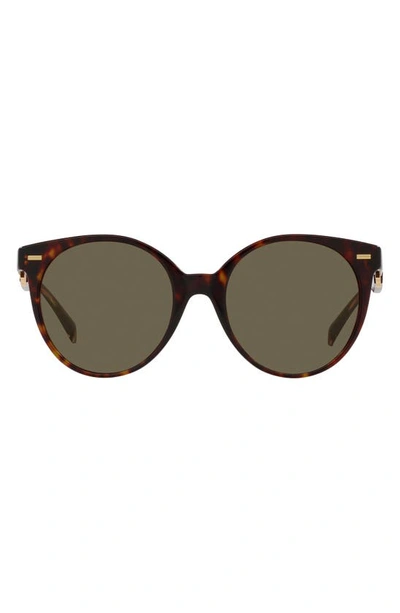 Versace 55mm Round Sunglasses In Havana